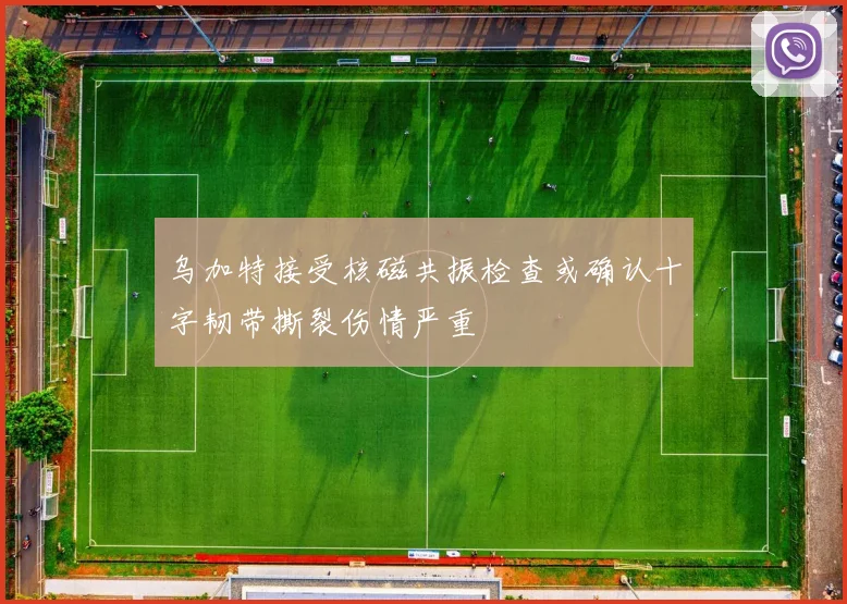 乌加特接受核磁共振检查或确认十字韧带撕裂伤情严重