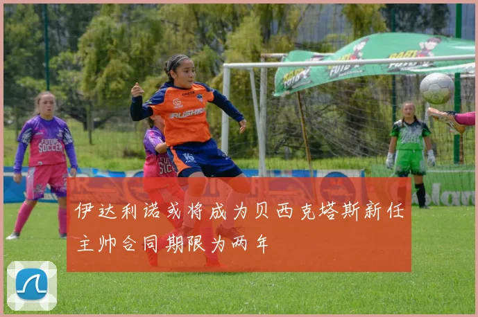 伊达利诺或将成为贝西克塔斯新任主帅合同期限为两年